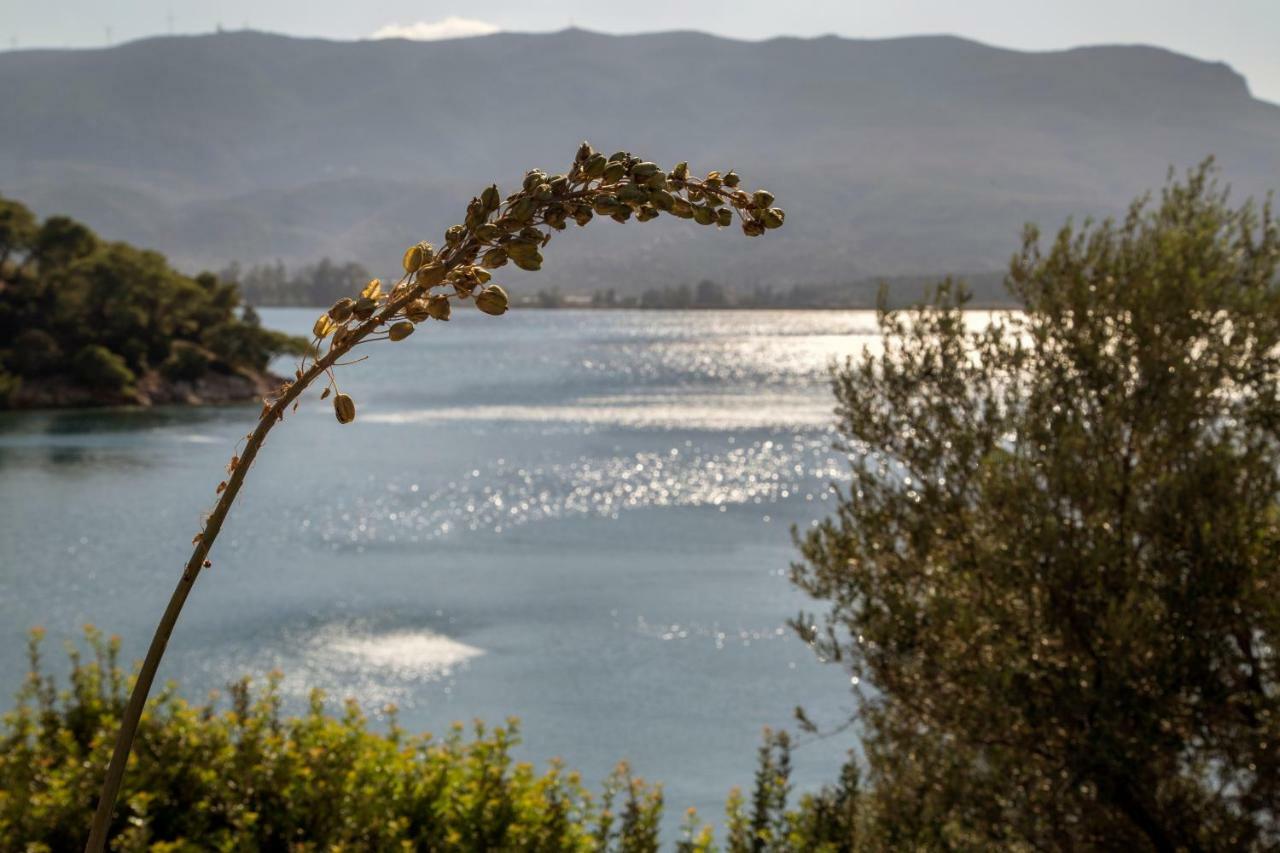 Kalavria Luxury Suites - Magnificent Sea View Of Poros Poros Town Zewnętrze zdjęcie